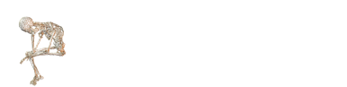 OrthopaedicLIST